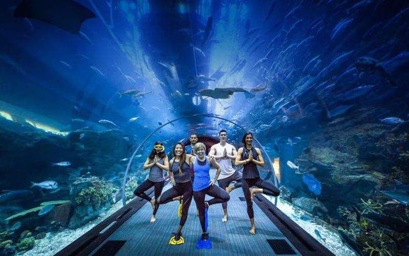 Dubai Aquarium Tunnel