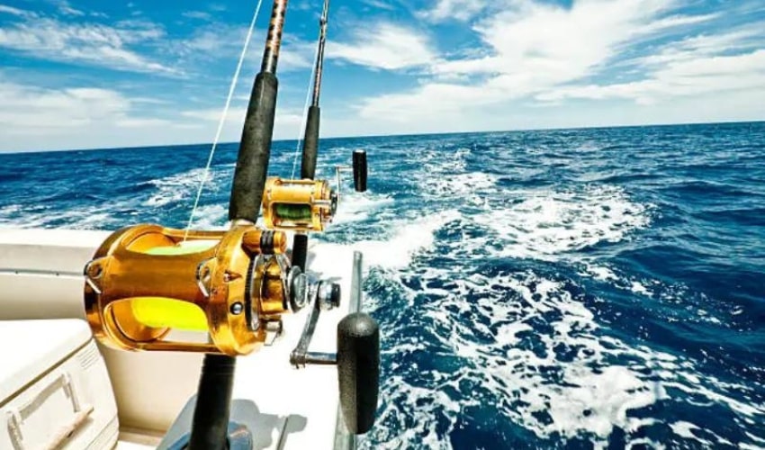 Deep-Sea Fishing