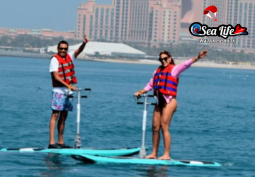 Stand Up Paddle Board Ride Dubai