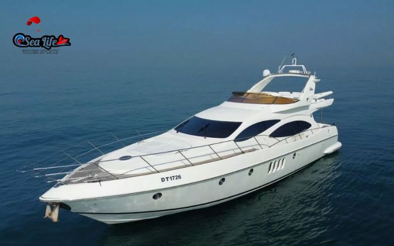 Yacht Rentals in December with Sea Life Watersports